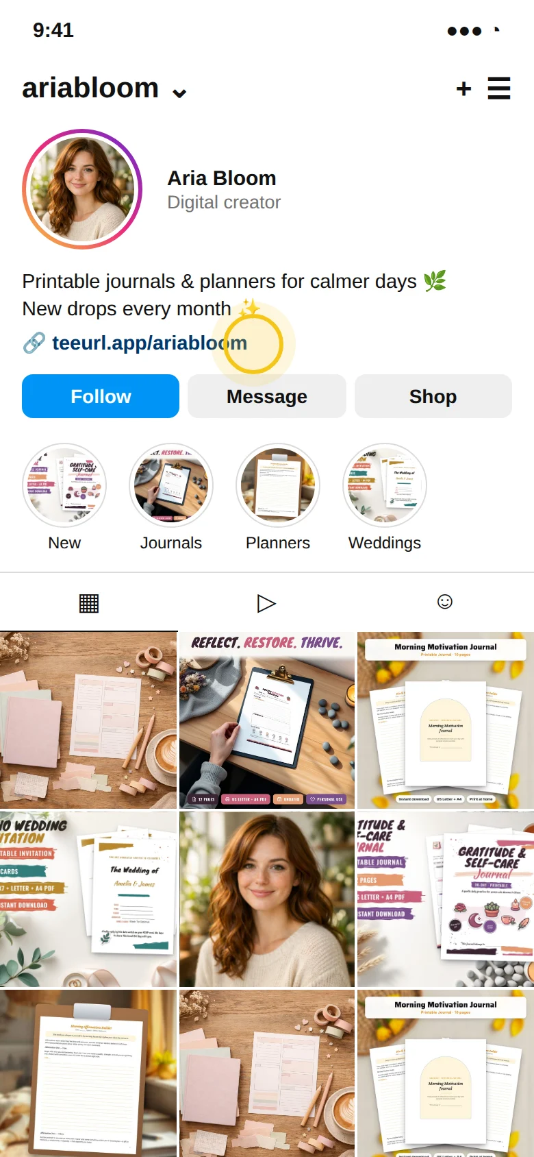An Instagram profile with a teeurl.app link in the bio